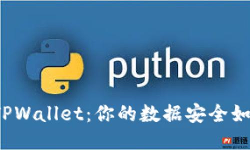 丢失的TPWallet：你的数据安全如何保障？