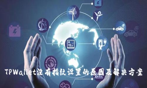 TPWallet没有指纹设置的原因及解决方案